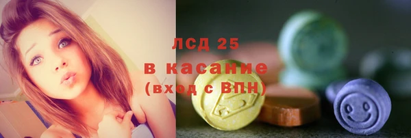 крисы Аркадак