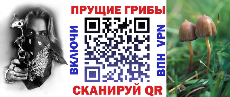 Галлюциногенные грибы мицелий  Армянск 